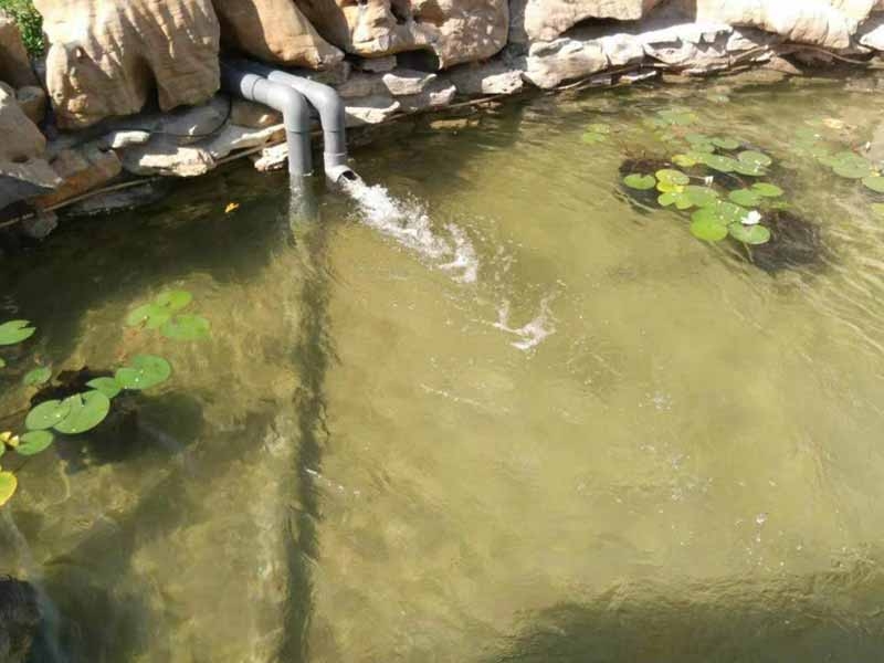 魚(yú)池過(guò)濾器客戶(hù)實(shí)地效果展示